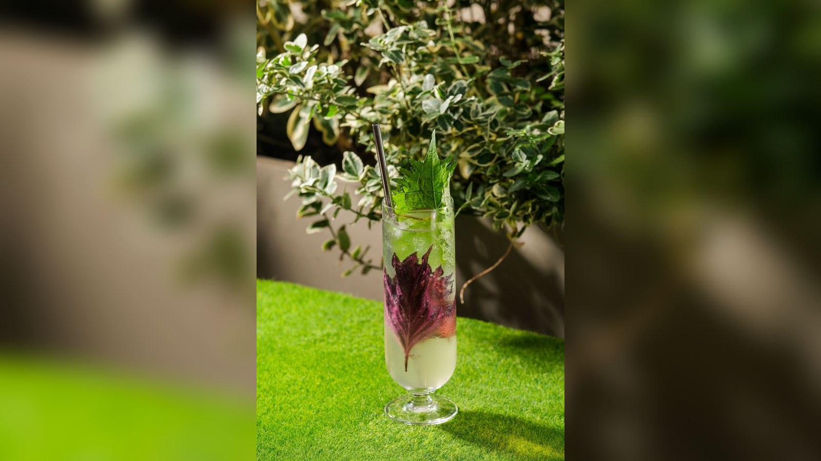 A tall green cocktail with a purple shiso leaf and a straw, on bright grass in front of leafy plants