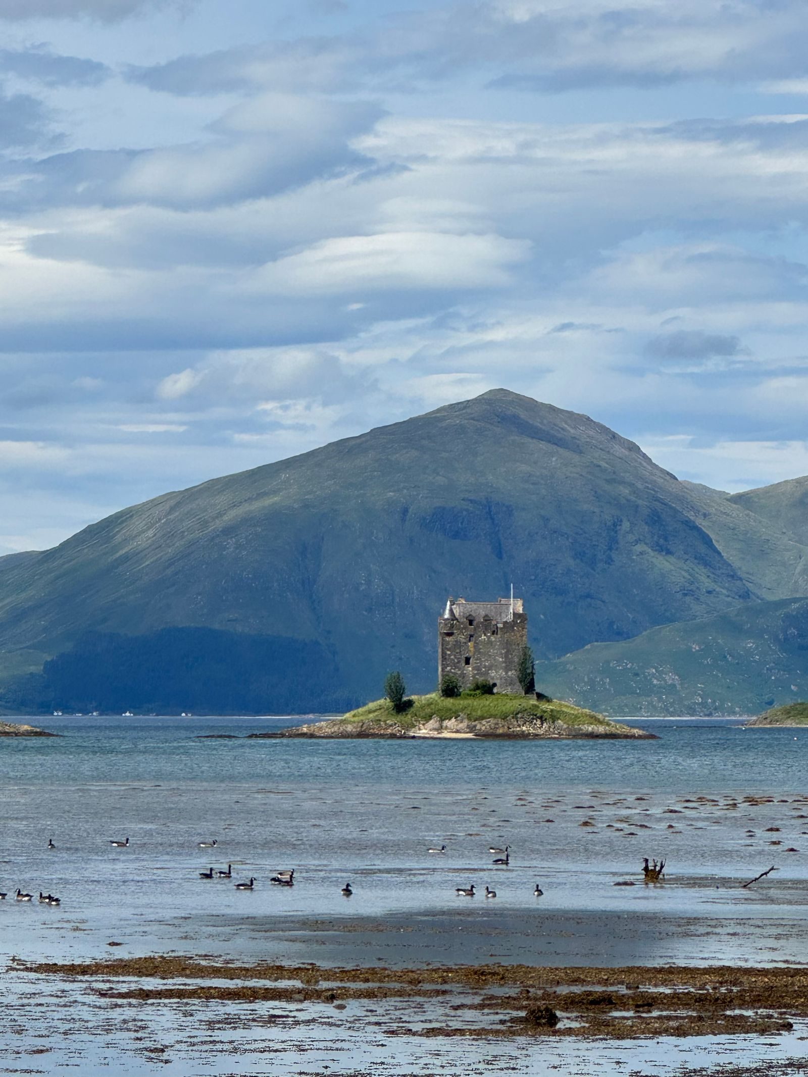 Castle Stalker on its tiny island in a Highland loch, mountains behind