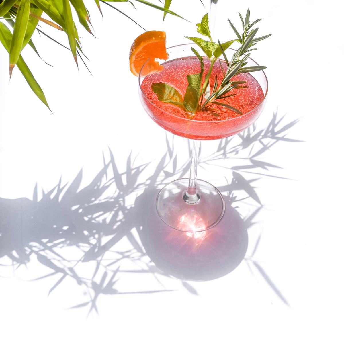 A pink cocktail with a rosemary garnish on a plain white background with soft shadows