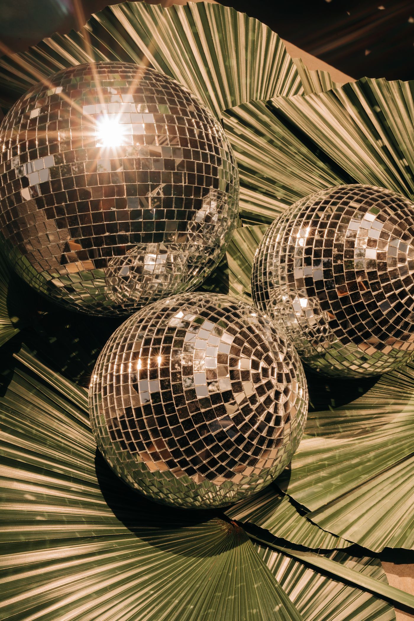 Three shiny disco balls placed on vibrant green palm leaves with sunlight reflection
