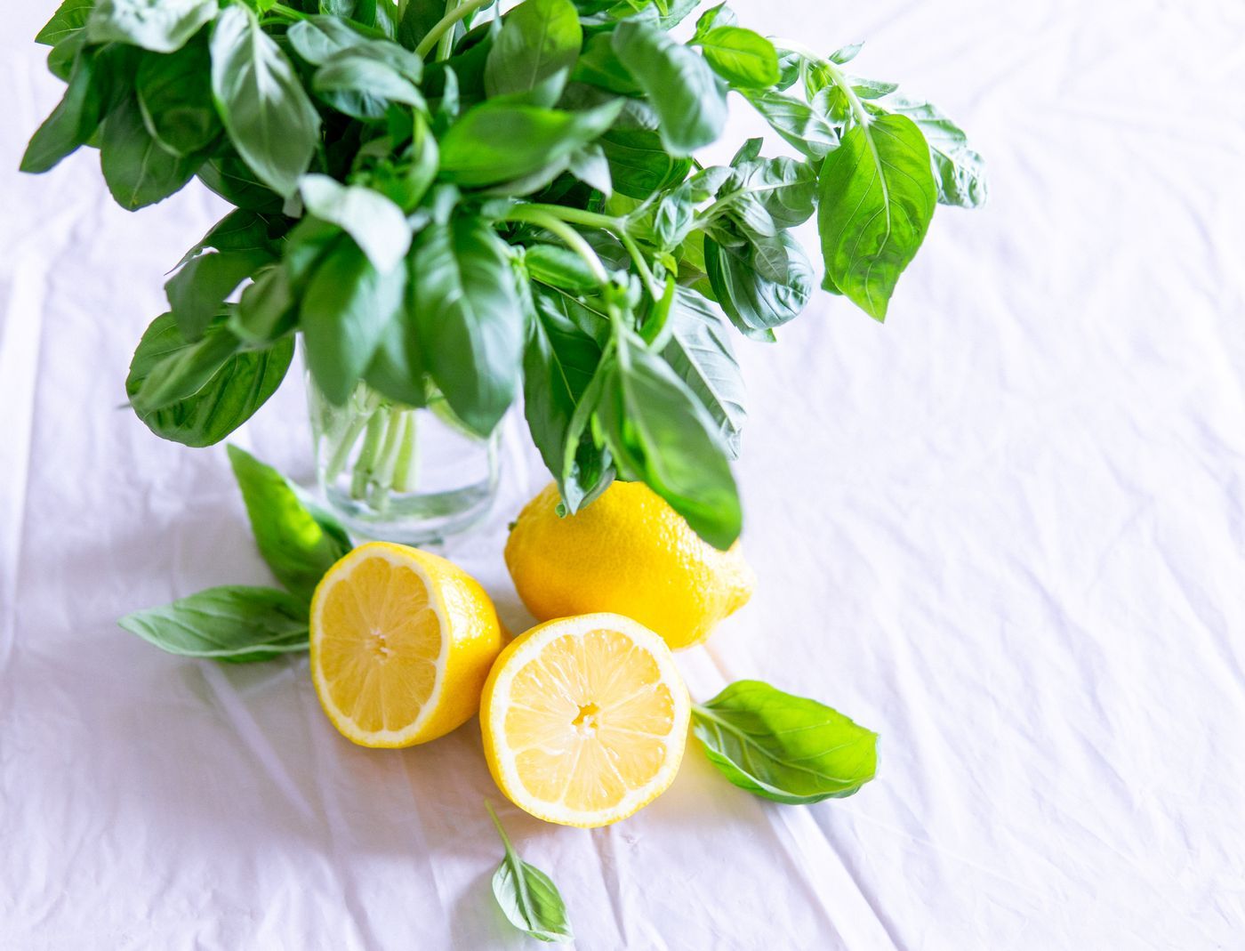 A vibrant still life featuring fresh basil and lemon slices against a crisp white background