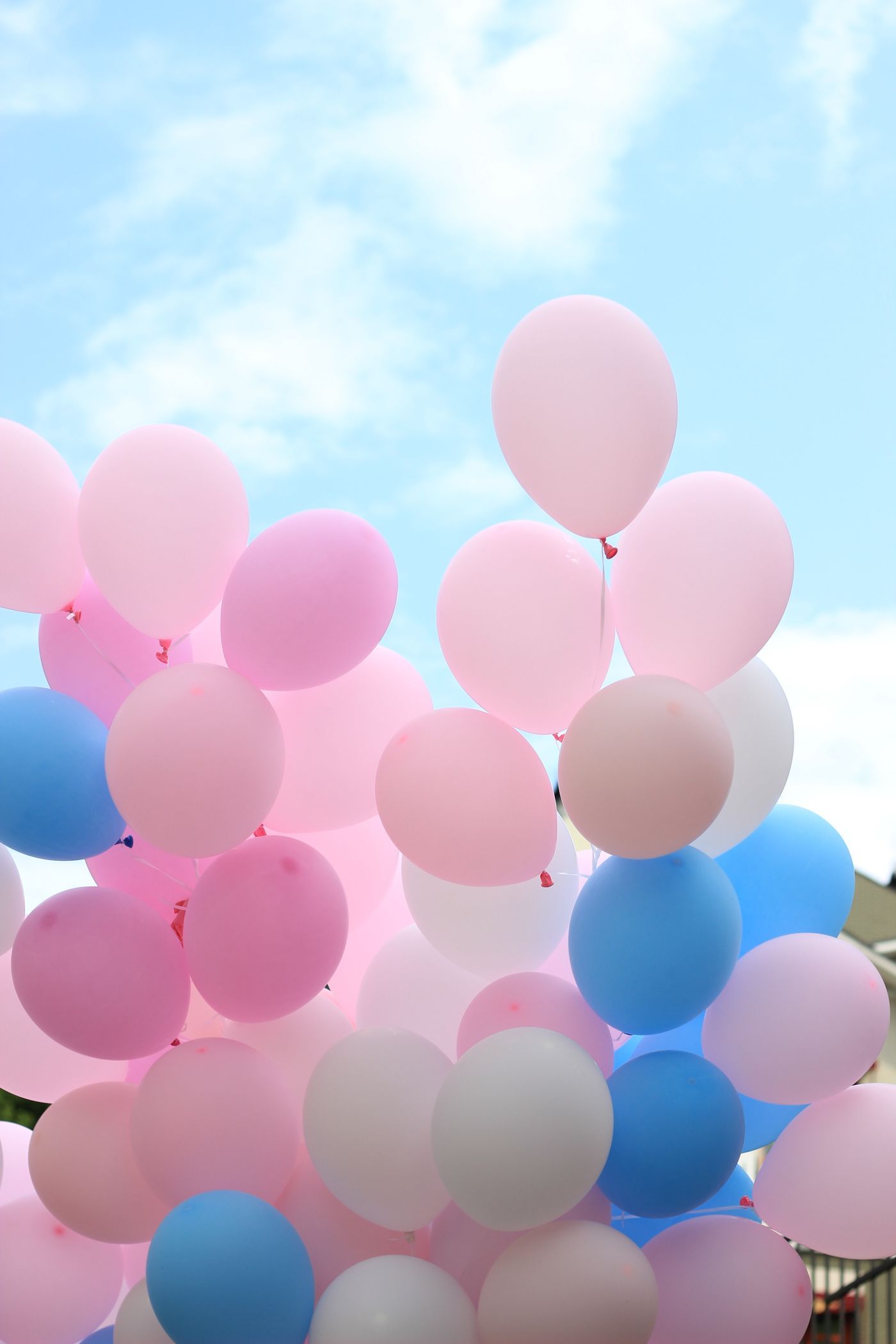 A bunch of pastel-colored balloons floating upward under a clear blue sky